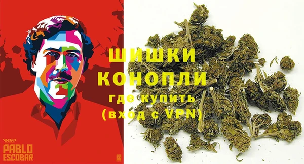 сатива Балабаново